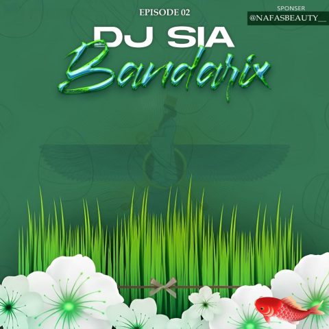 Bandarix 02
