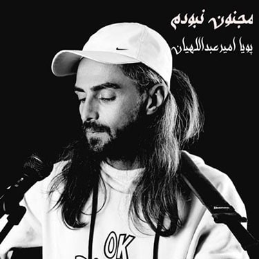 مجنون نبودم