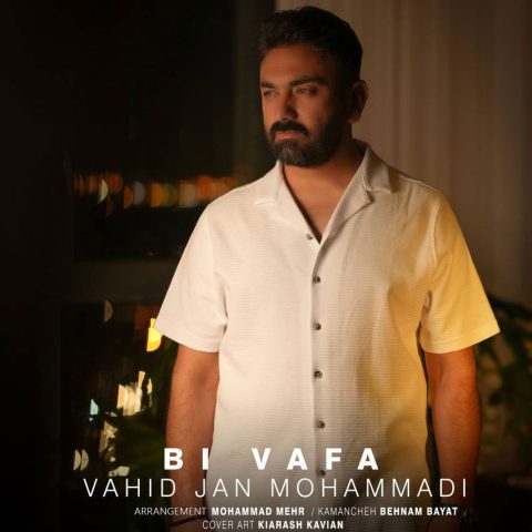 Bi Vafa