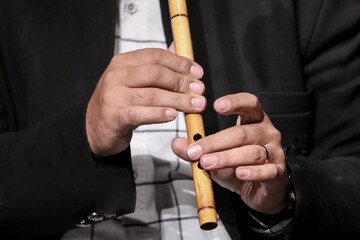 حمید شول